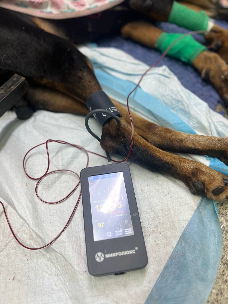 Вакцинація