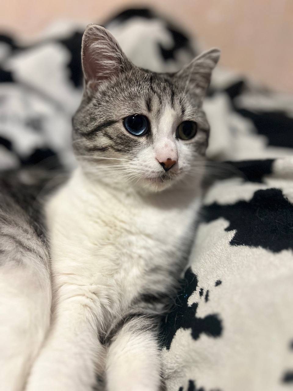 Фото з клініки