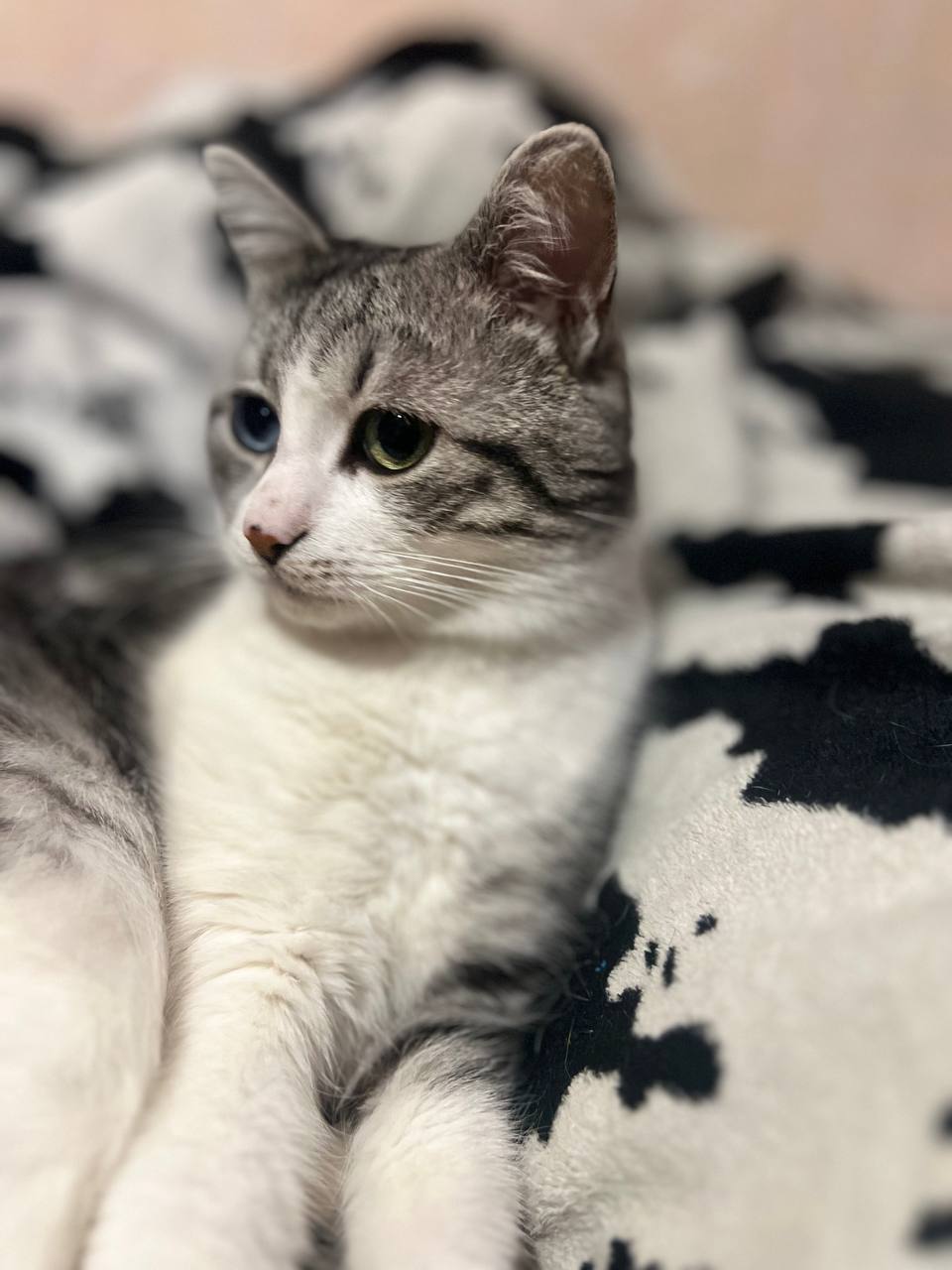 Фото з клініки