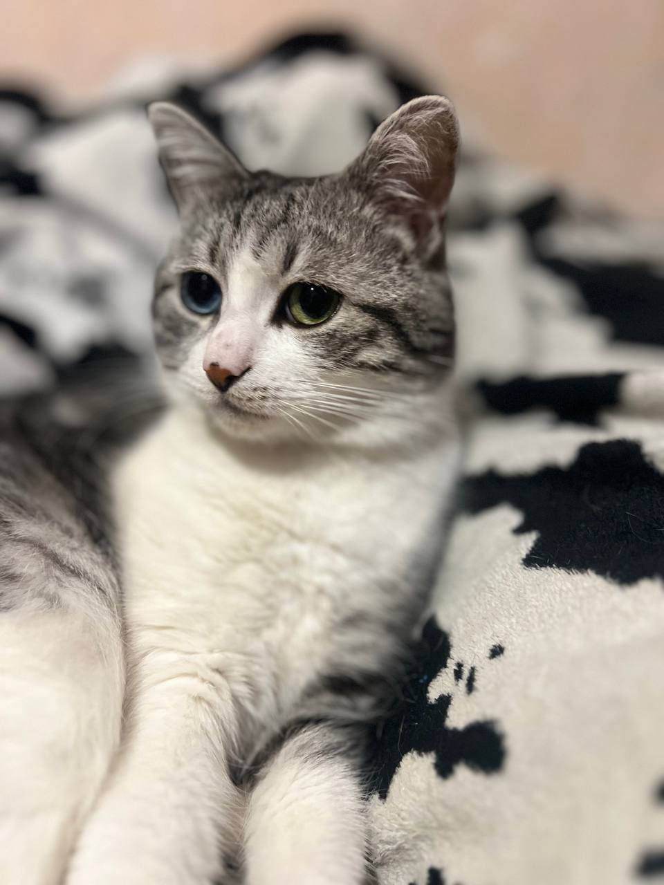 Фото з клініки