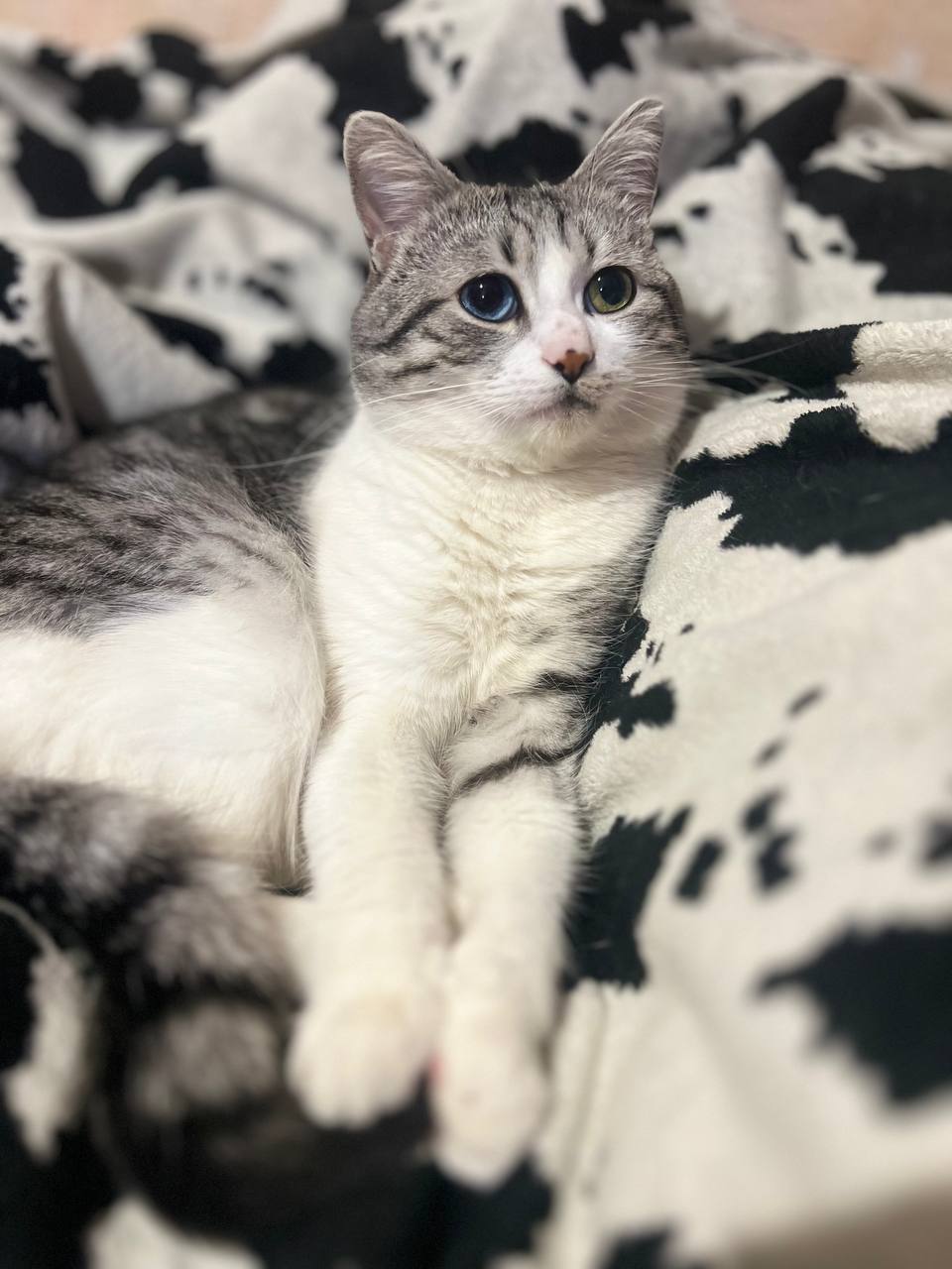 Фото з клініки