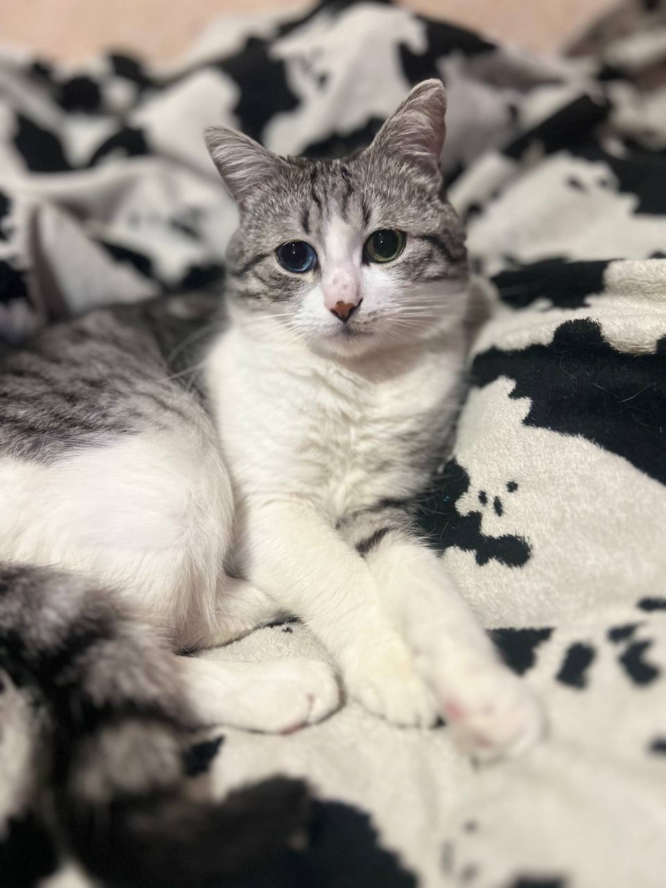 Фото з клініки