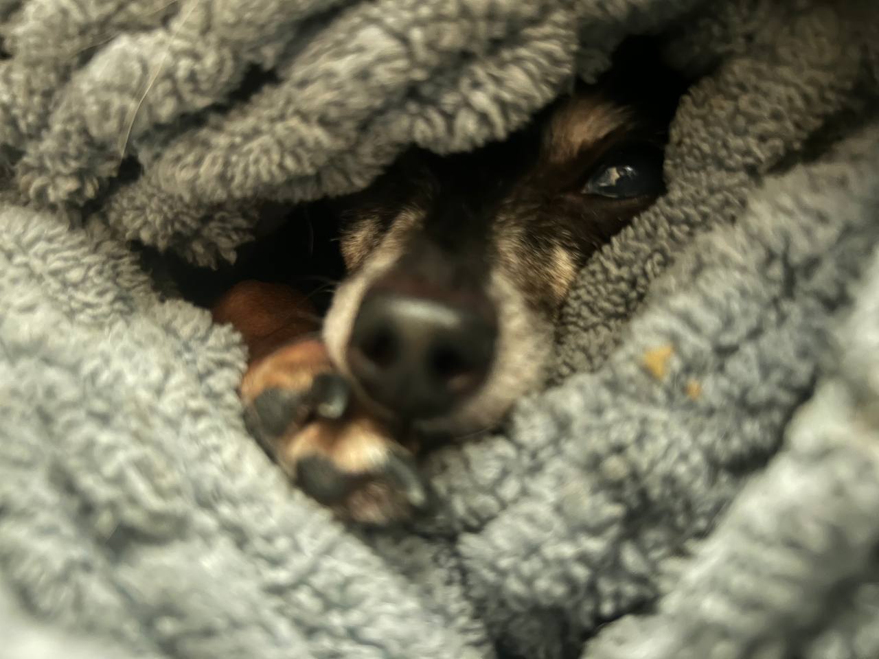 Фото з клініки