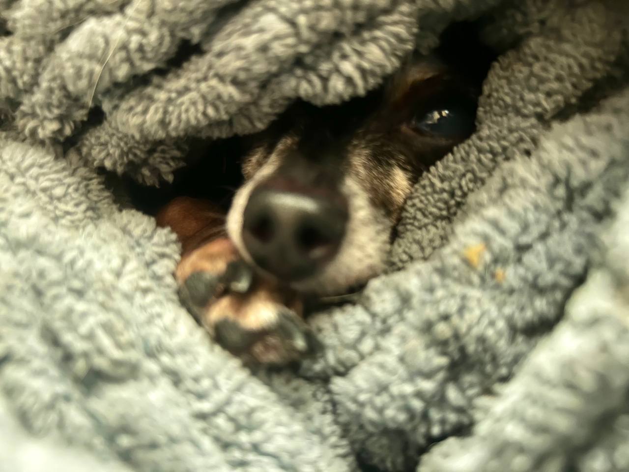 Фото з клініки