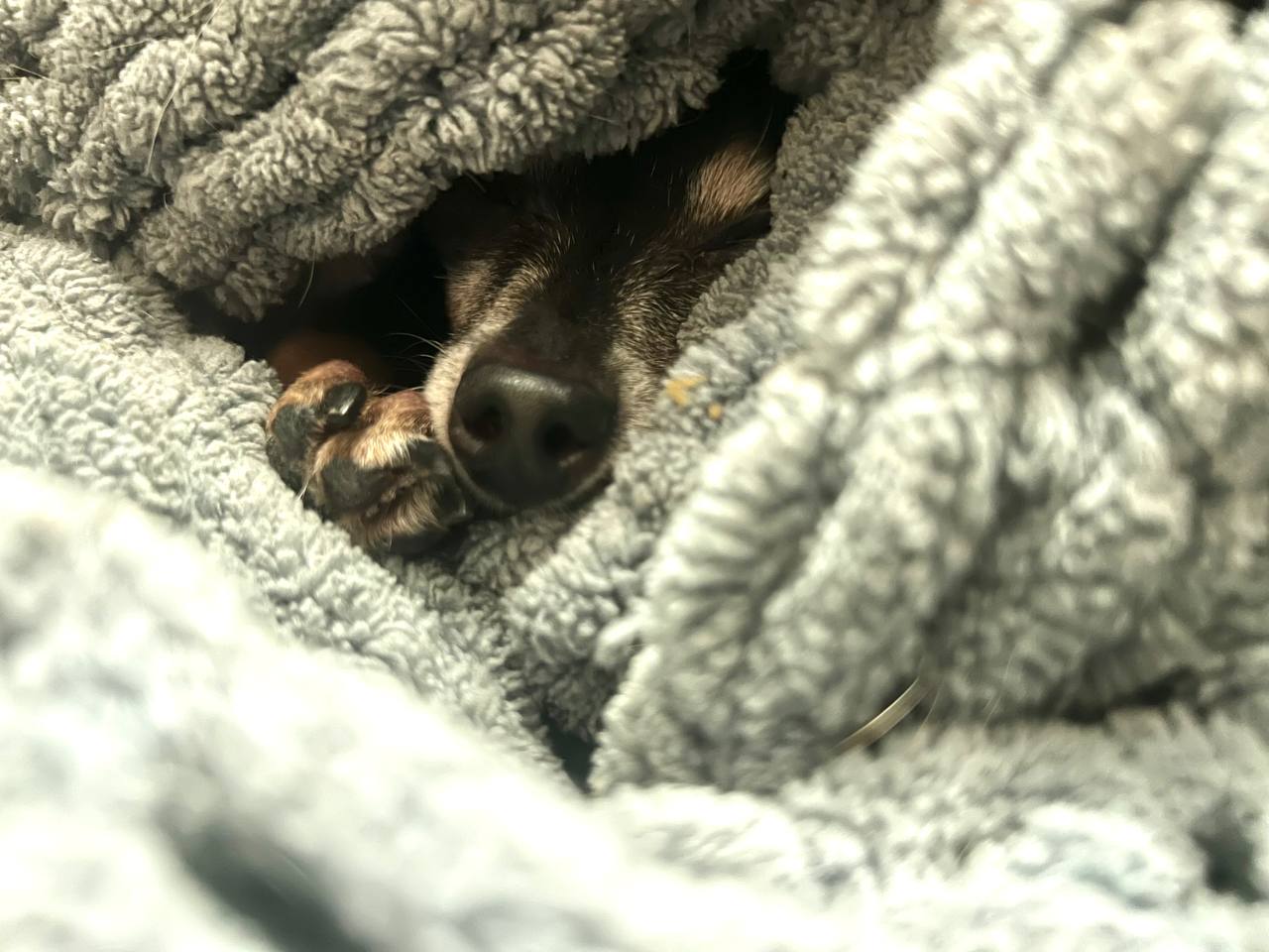 Фото з клініки