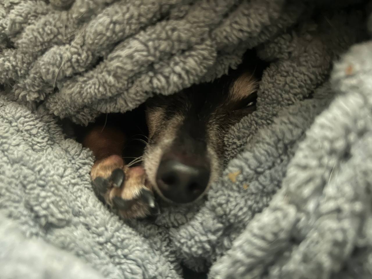 Фото з клініки