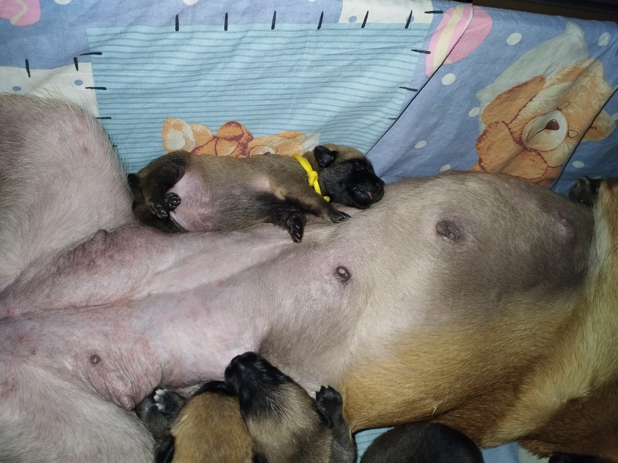 Фото з клініки